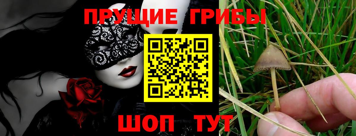 Галлюциногенные грибы мицелий  Псилоцибиновые грибы Cubensis  Калач-на-Дону  Вход с VPN 